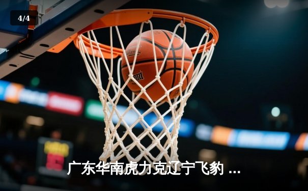 广东华南虎力克辽宁飞豹 CBA总决赛第三场加时鏖战 - 4